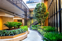 Interior Plantscapes - Photo 7 - Car repair in Laurel, MD, Columbia