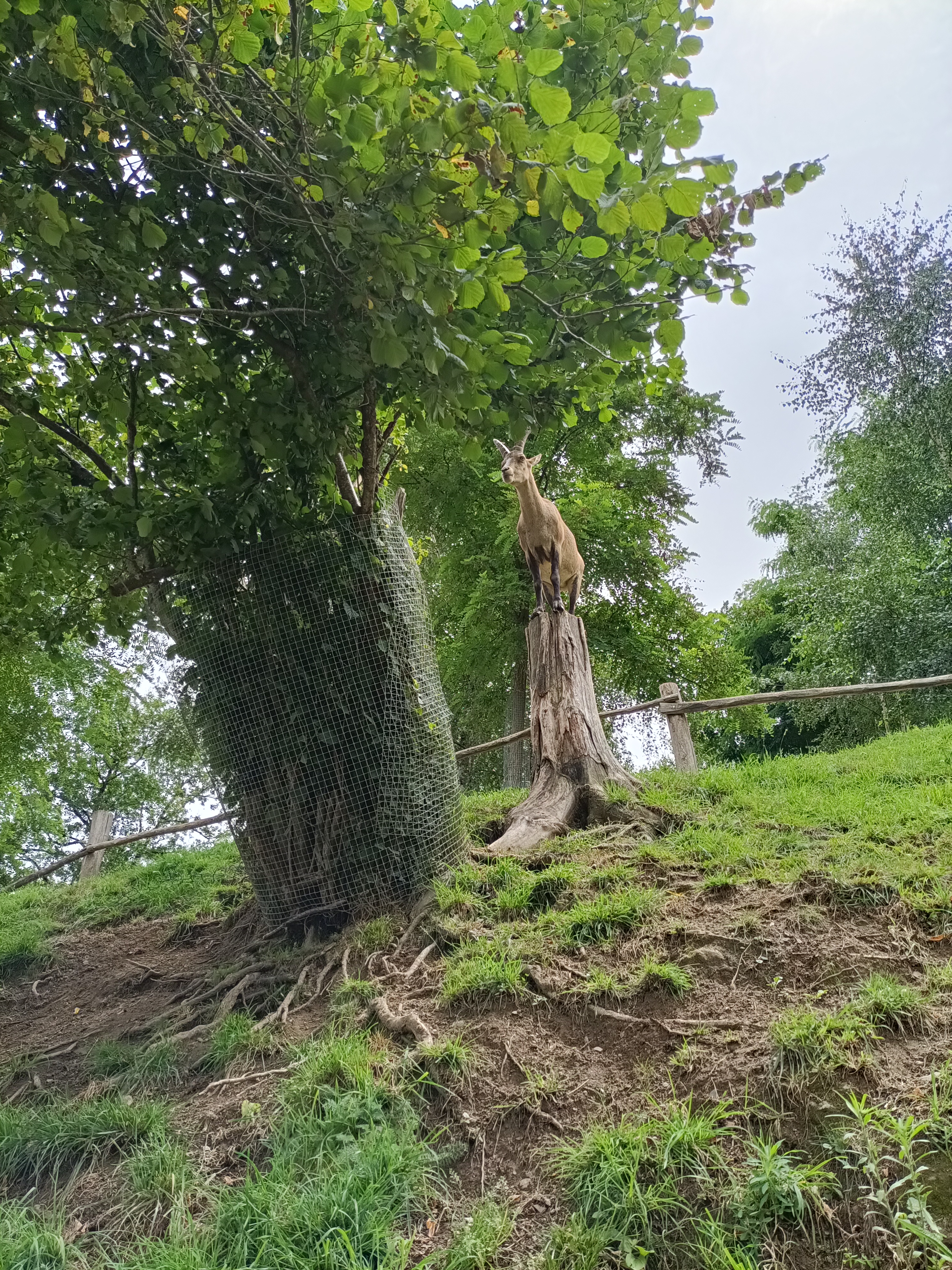 Photo n° 2 de l'avis de Jessica. fait le 07/08/2023 à 06:57