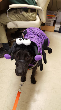 Pet Supplies Plus Marietta - Photo 7 - Car repair in Marietta, GA, Sandy Springs