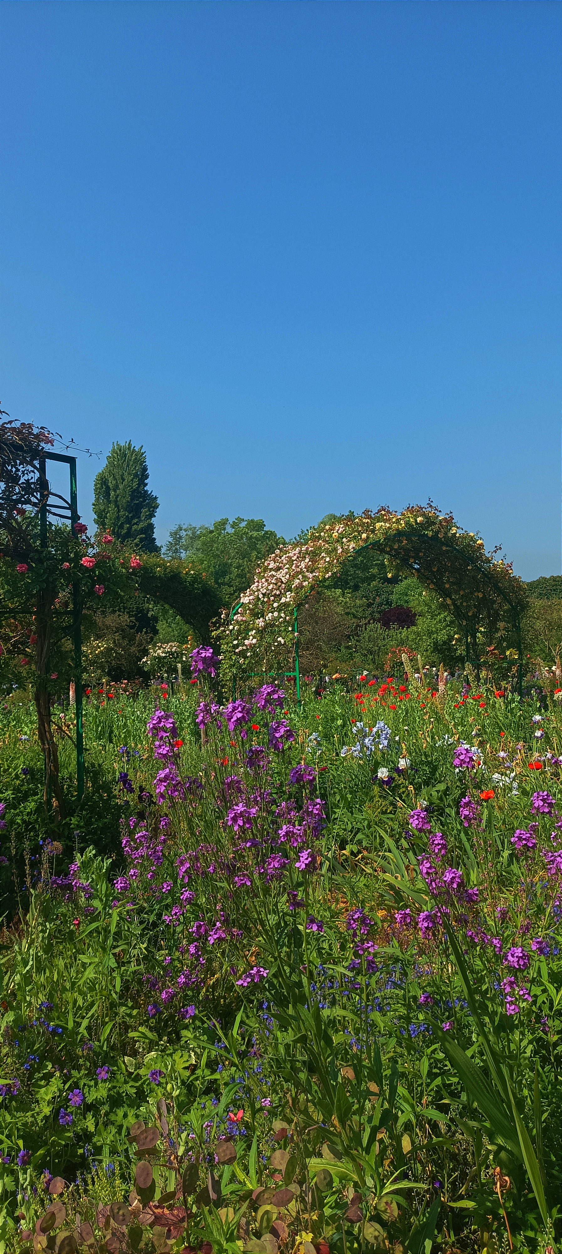 Photo n° 5 de l'avis de E. fait le 29/05/2023 à 21:25