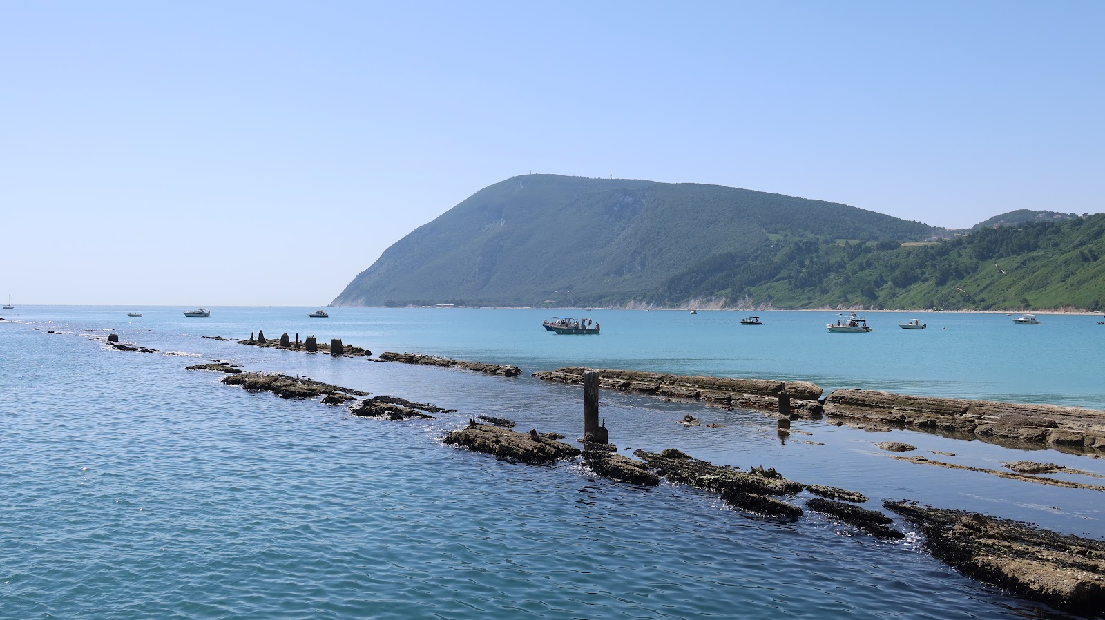 Trave Beach'in fotoğrafı vahşi alan