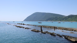 Foto von Trave Beach wilde gegend