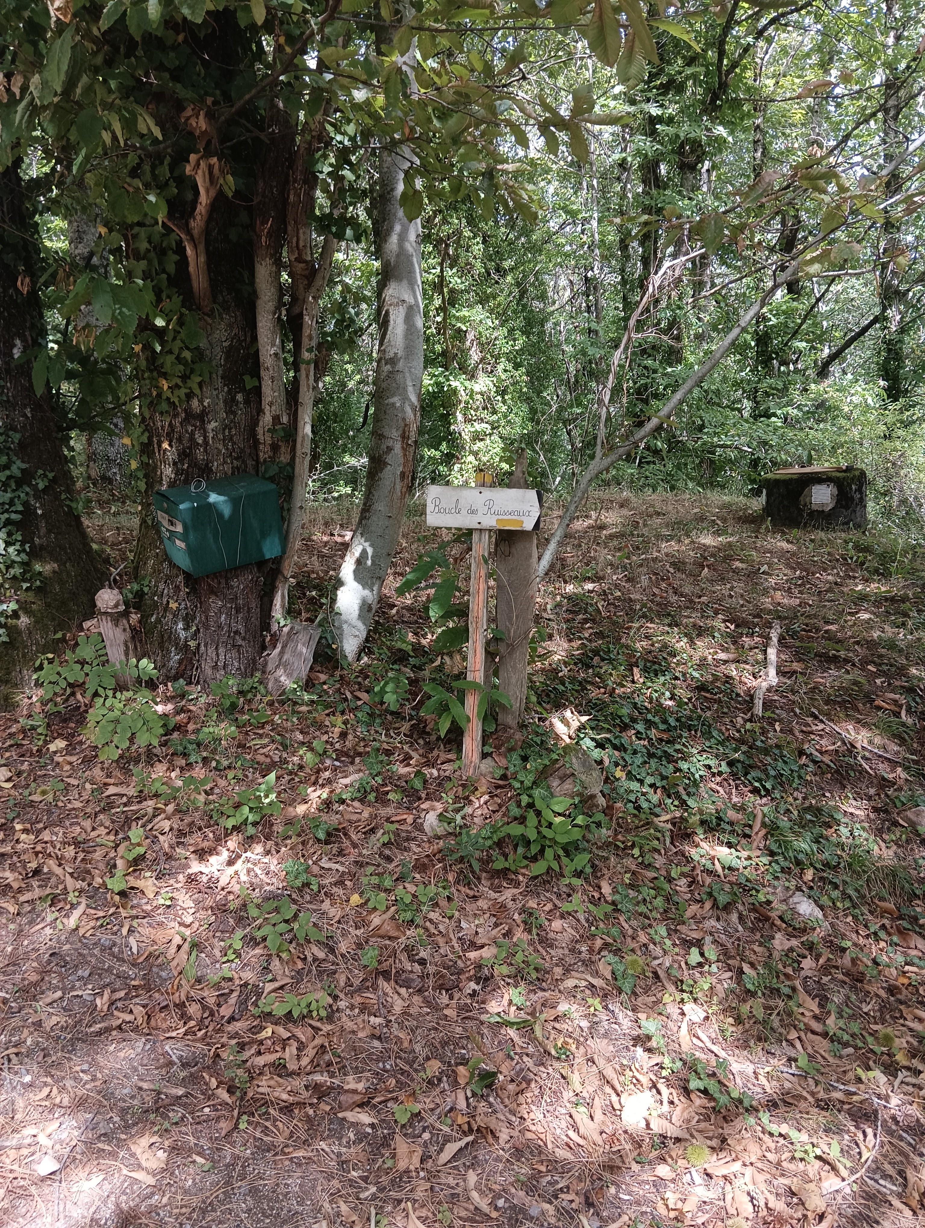 Photo n° 4 de l'avis de Bilbon.A fait le 06/09/2023 à 20:58