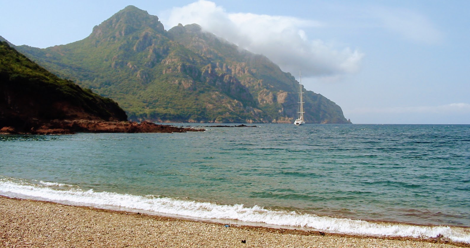 Photo de Osani beach zone sauvage