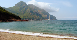 Osani beach'in fotoğrafı vahşi alan