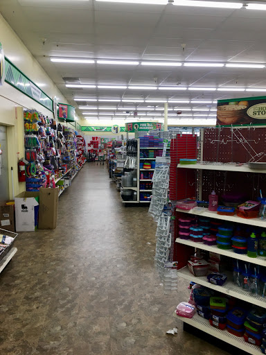 Dollar Store «Dollar Tree», reviews and photos, 1041 Vine St, Healdsburg, CA 95448, USA