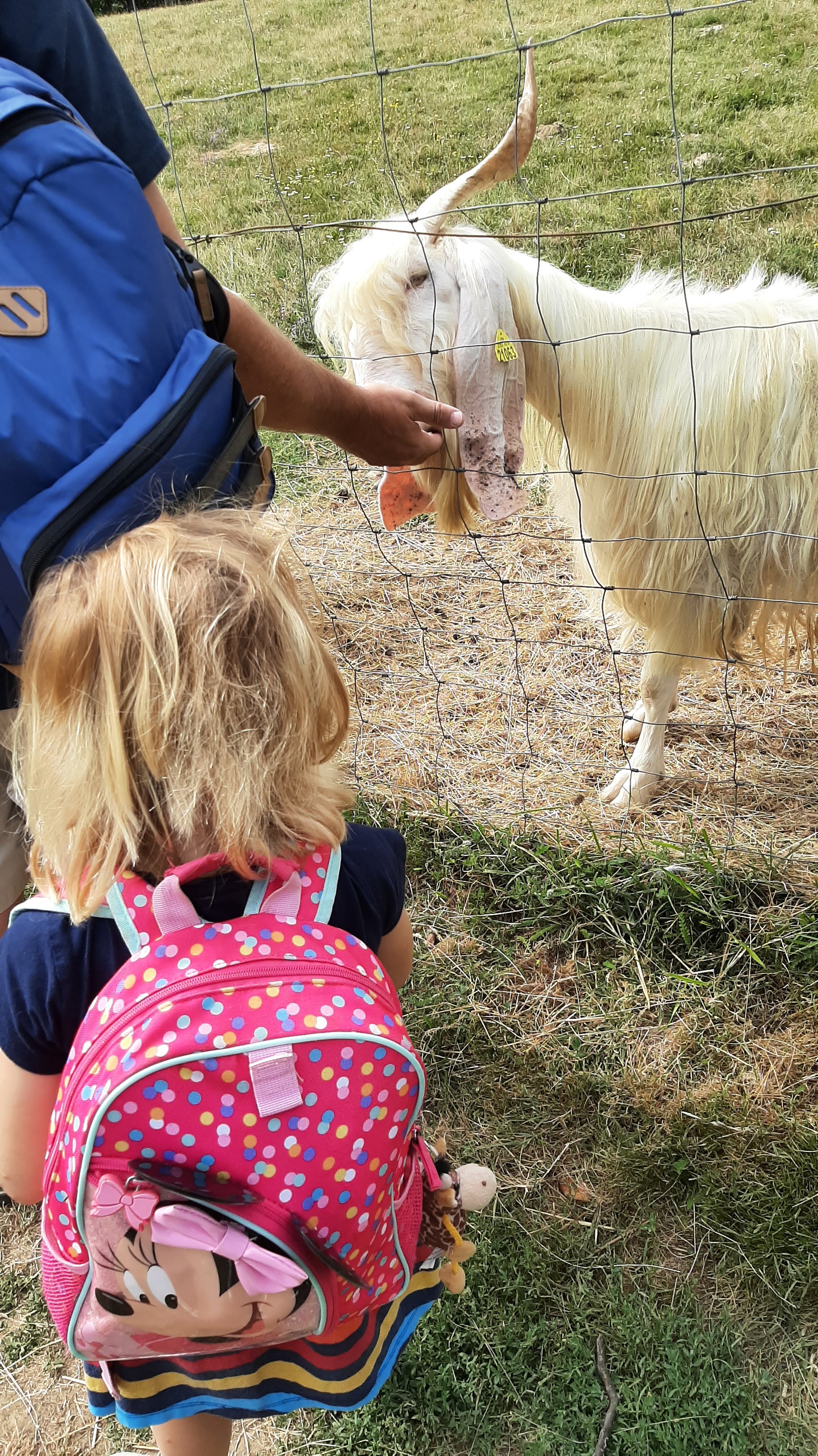 Photo n° 1 de l'avis de Corinne.a fait le 05/08/2023 à 09:26