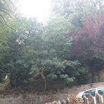 Photo n°5 de l'avis de Gennaro.i fait le 29/08/2022 à 17:47 sur le  Alla Sorgente Del Vecchio Mulino à Limatola