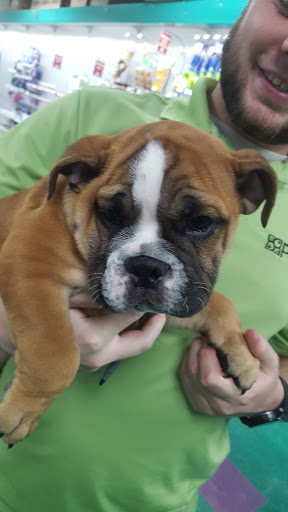 Pet Store «Petland Fairfax», reviews and photos, 9404 Main Street, Fairfax, VA 22031, USA