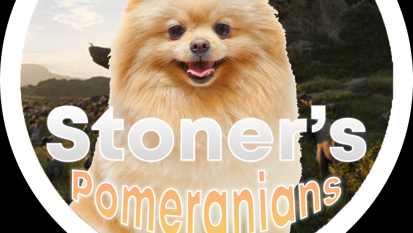 Stoners Pomeranian Pup Shop