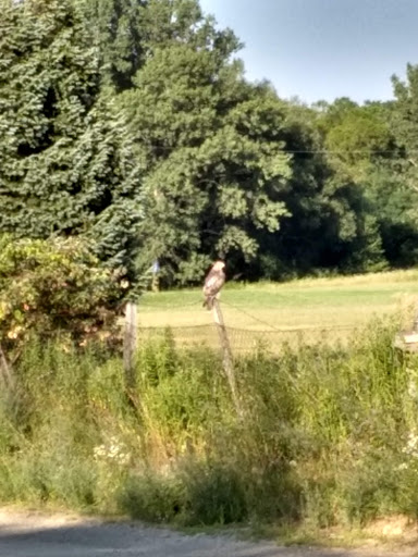 Golf Course «Downing Golf Course», reviews and photos, 1347 Troupe Rd, Harborcreek, PA 16421, USA