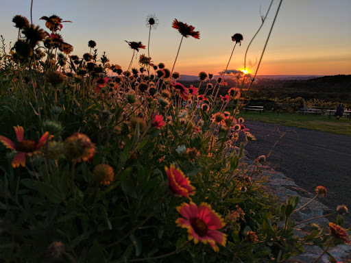 Winery «Gouveia Vineyards», reviews and photos, 1339 Whirlwind Hill Rd, Wallingford, CT 06492, USA