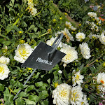 Photo n° 25 de l'avis de Clement. fait le 12/08/2022 à 16:42 pour Château de la Bourdaisière à Montlouis-sur-Loire