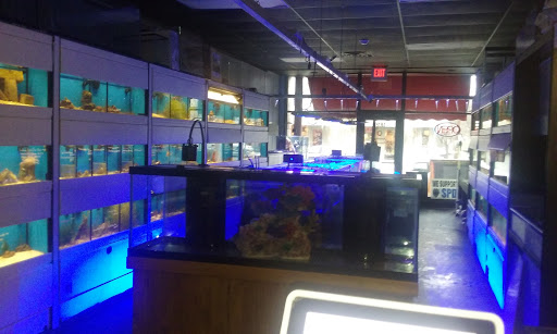 Tropical Fish Store «Scranton Aquarium», reviews and photos, 1819 Sanderson Ave, Scranton, PA 18509, USA