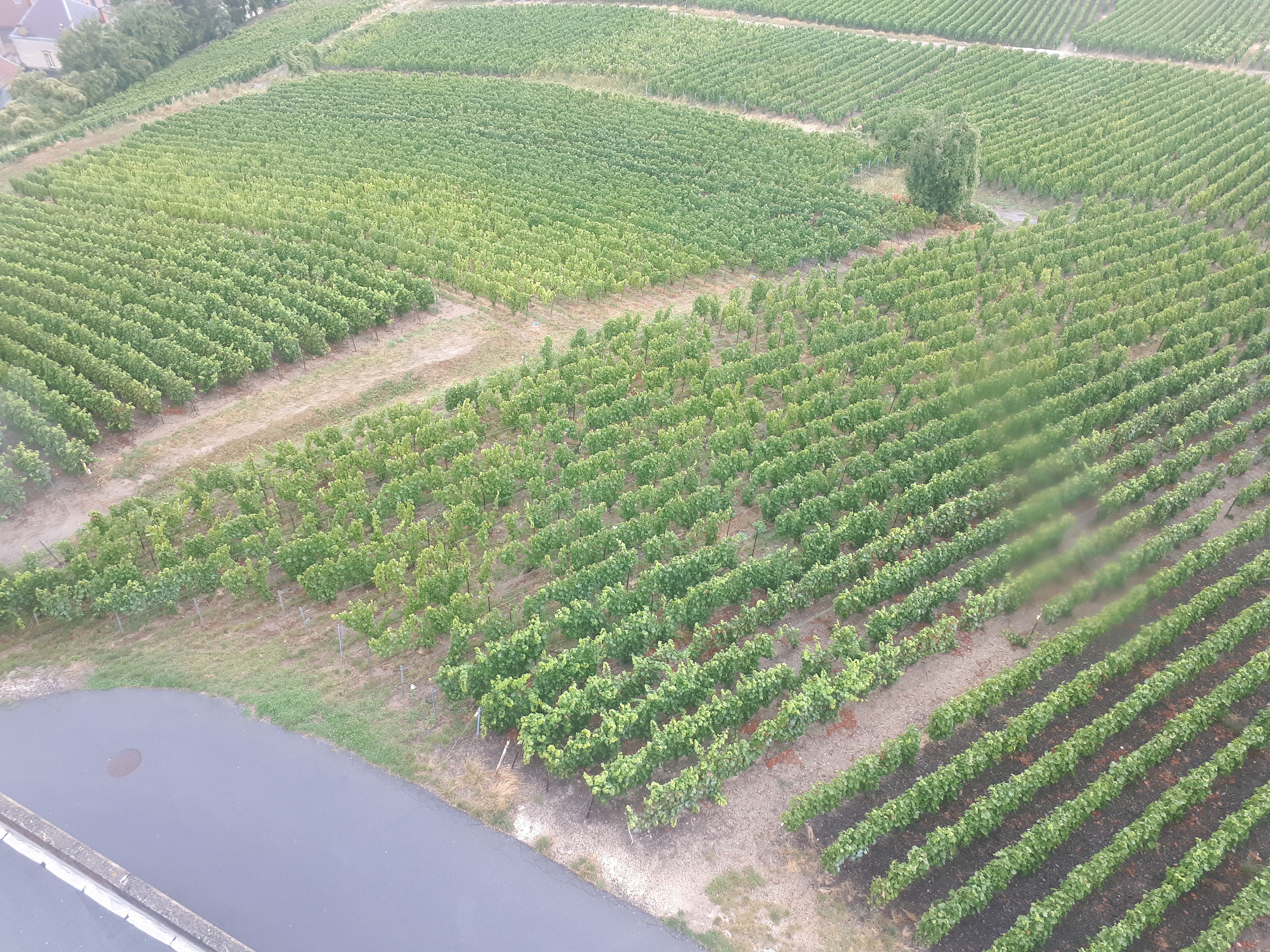 Photo n° 9 de l'avis de Ludovic.o fait le 17/08/2019 à 15:42
