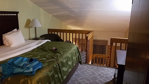 Hotel «Quality Inn & Suites Tampa - Brandon near Casino», reviews and photos, 10007 Princess Palm Ave, Tampa, FL 33619, USA