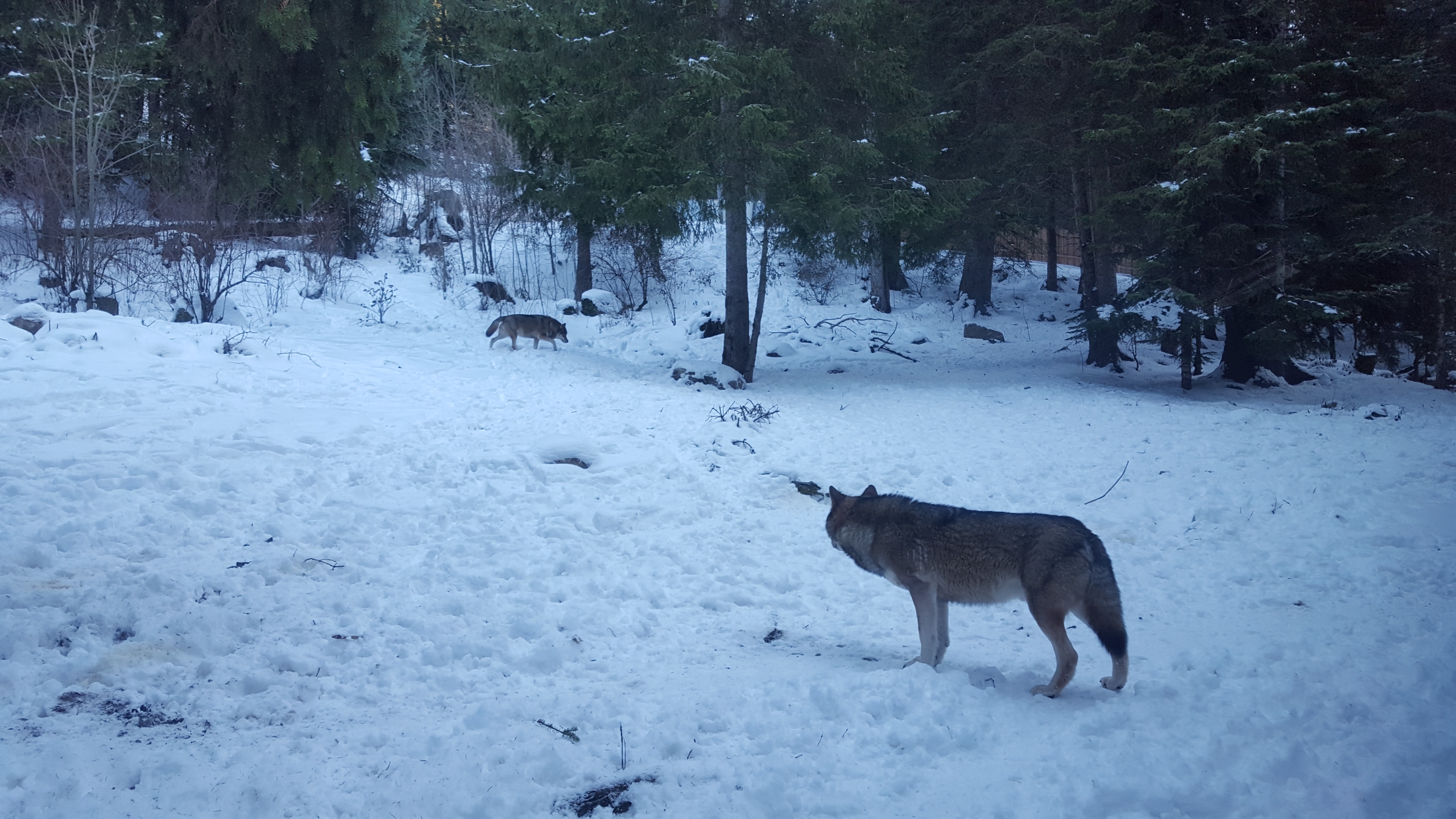 Photo n° 10 de l'avis de Pacôme.l fait le 16/01/2017 à 15:09