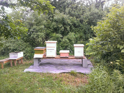 Second Chance Apiary