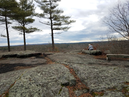 Noon Hill Reservation, Medfield, MA 02052