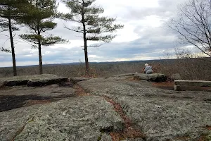 Noon Hill Reservation image