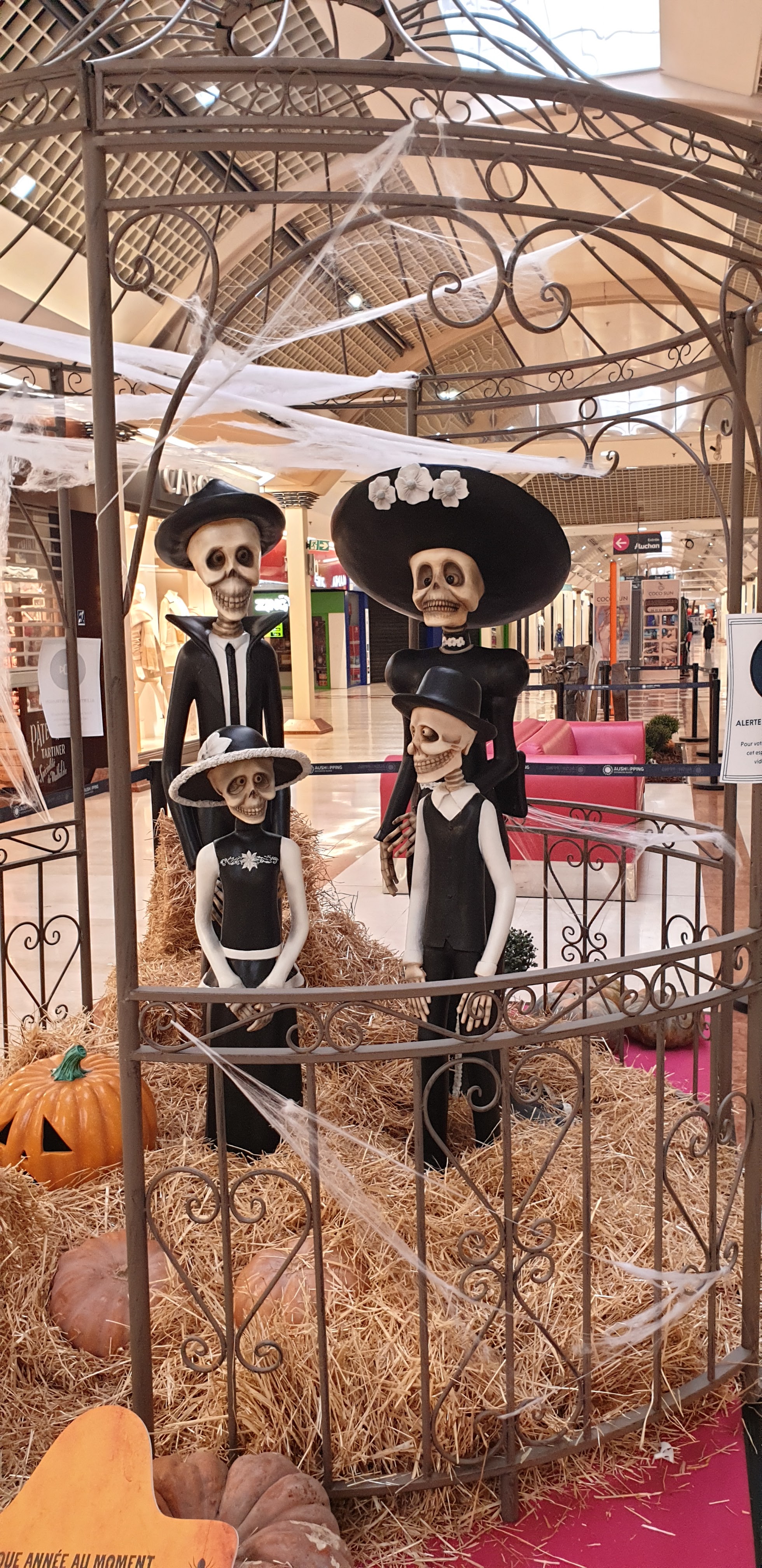 Photo n° 5 de l'avis de Joelle.e fait le 25/10/2022 à 17:24