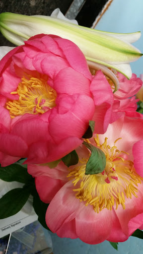 Florist «Purple Iris Flower Shop», reviews and photos, 2505 NJ-88, Point Pleasant, NJ 08742, USA