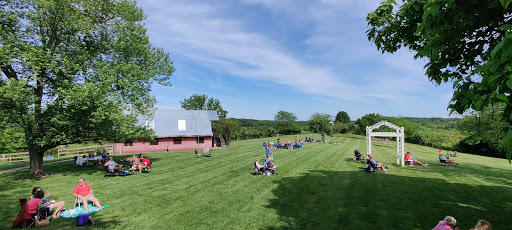 Winery «Wild Sun Winery», reviews and photos, 4830 Pioneer Rd, Hillsboro, MO 63050, USA