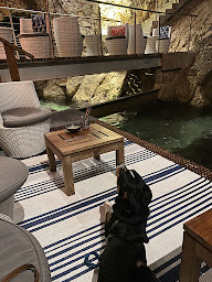 Photo n°51 de Le Plongeoir à Nice ()