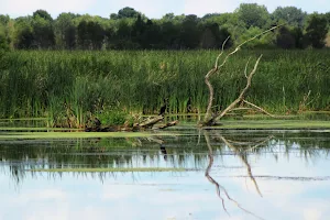 Lake Mills Wildlife Area - Zeloski Marsh image