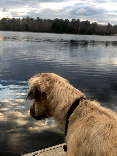 Park «Malaga Lake Park», reviews and photos, 445 Malaga Park Dr, Malaga, NJ 08328, USA