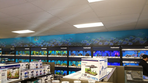 Pet Supply Store «Petco Animal Supplies», reviews and photos, 26501 Bouquet Canyon Rd, Saugus, CA 91350, USA