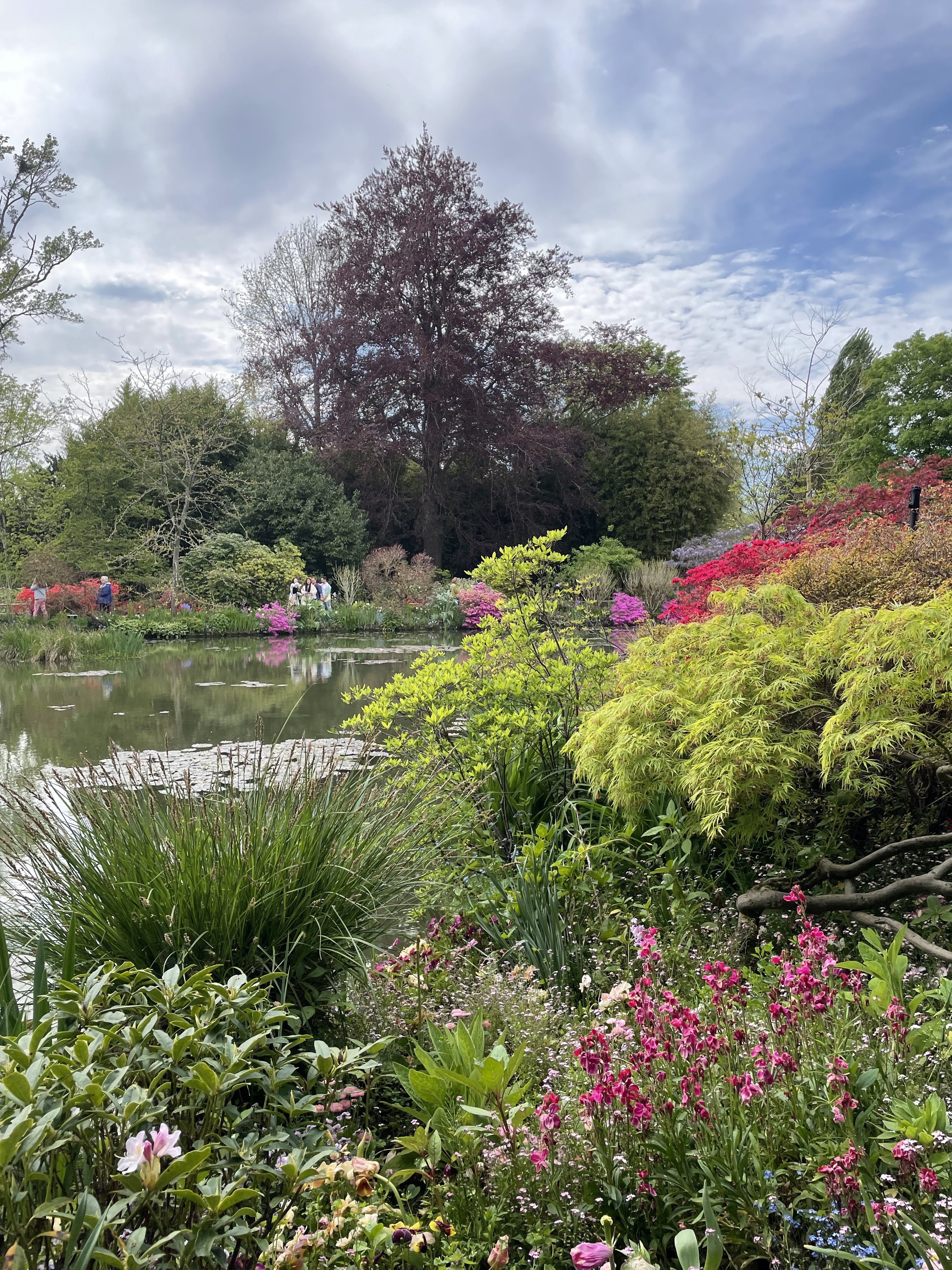 Photo n° 2 de l'avis de Marine.o fait le 21/05/2023 à 14:18