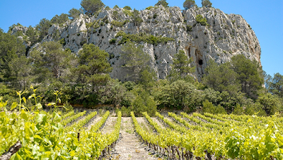 Cave de Gruissan à Gruissan