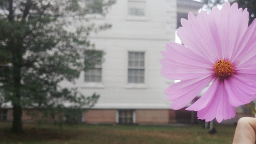 Historical Place «Morris-Jumel Mansion», reviews and photos, 65 Jumel Terrace, New York, NY 10032, USA