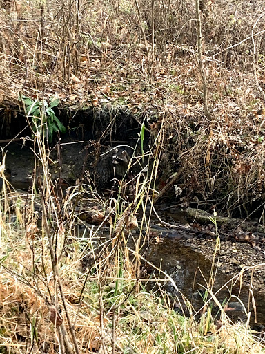 Nature Preserve «Hoover Forest Preserve», reviews and photos, 11285 W Fox Rd, Yorkville, IL 60560, USA