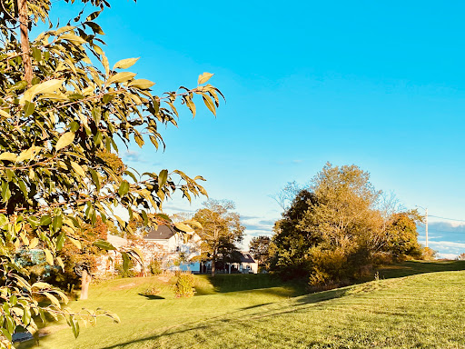 Park «Mack Park», reviews and photos, 31 Grove St, Salem, MA 01970, USA