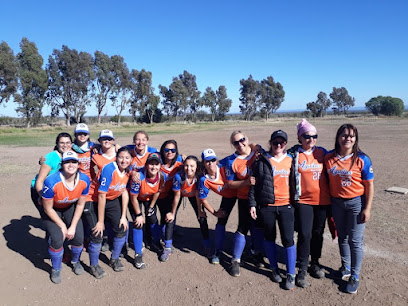 Águilas Sóftbol y Béisbol Club