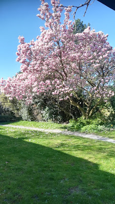 Ecole Le Magnolia Aux Papillons à Soultz-sous-Forêts