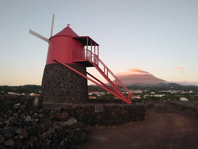 Terralta Nature Tours - Azores - Madalena