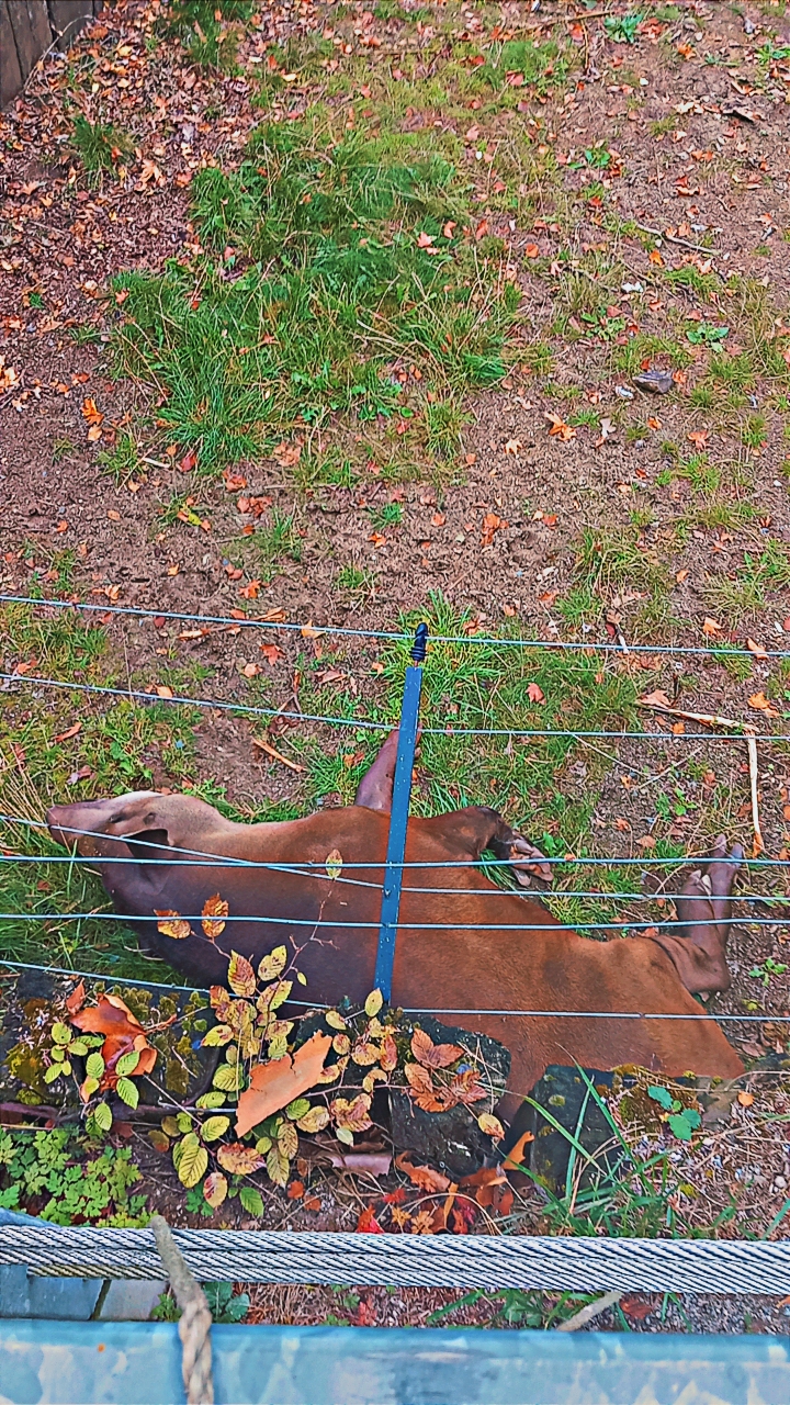 Photo n° 9 de l'avis de Corinne.h fait le 02/09/2023 à 09:38