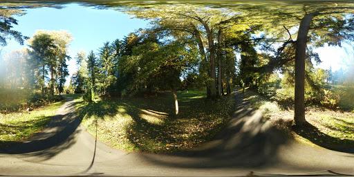 Park «Mark Twain Park», reviews and photos, 10625 132nd Ave NE, Kirkland, WA 98033, USA