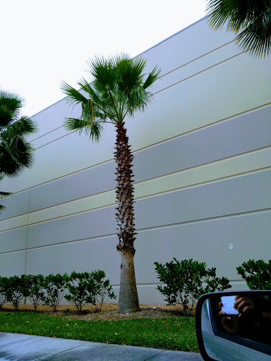 Pet Store «Phillips Feed & Pet Supplies», reviews and photos, 4350 Amberjack Blvd, Plant City, FL 33566, USA