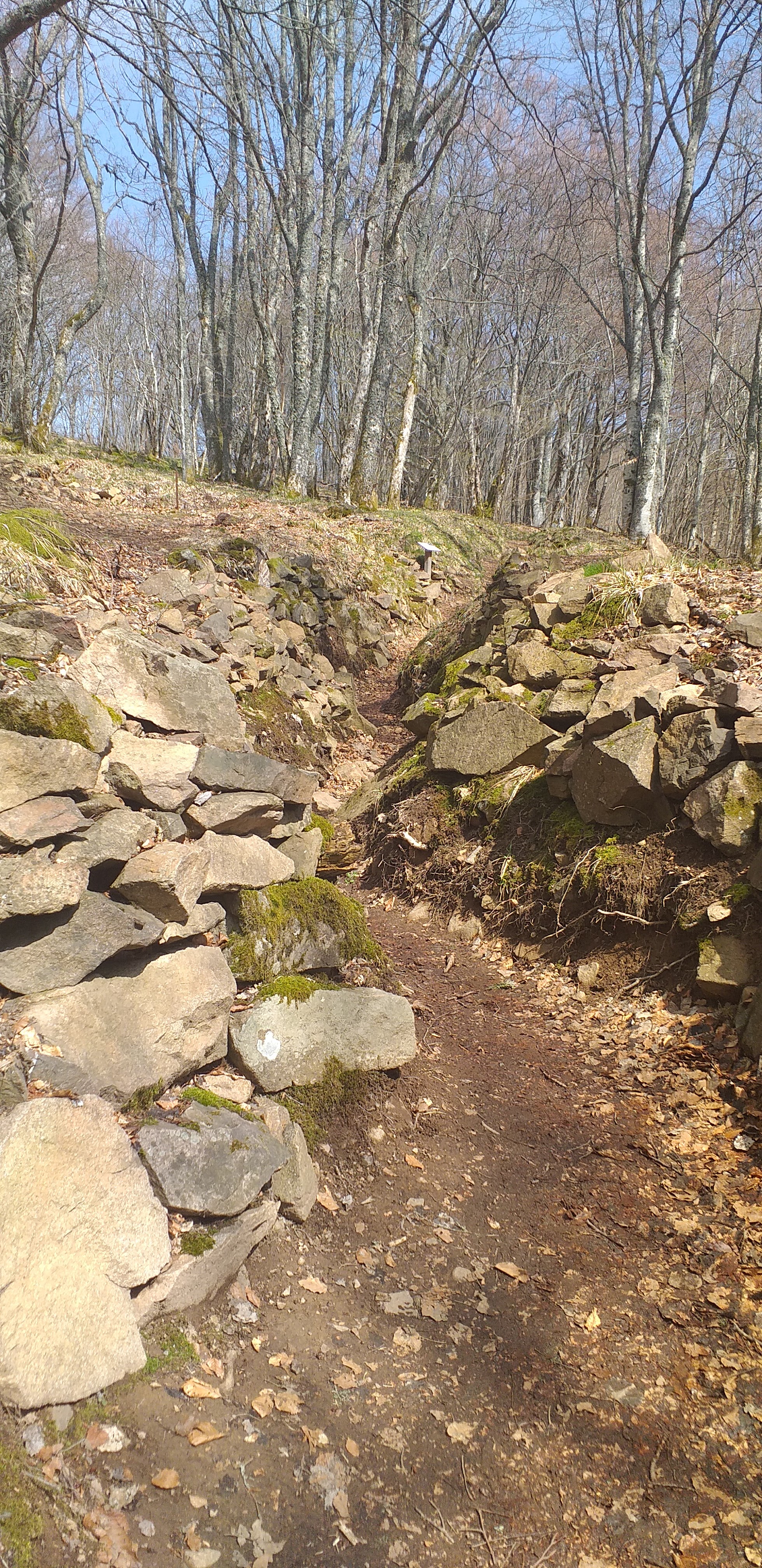 Photo n° 42 de l'avis de Stéphanie.e fait le 15/04/2019 à 14:42