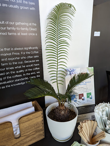 Coffee Shop «Zoka Coffee Roasters and Tea Company», reviews and photos, 129 Central Way, Kirkland, WA 98033, USA