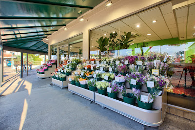 Le Jardins des Fleurs à Libourne