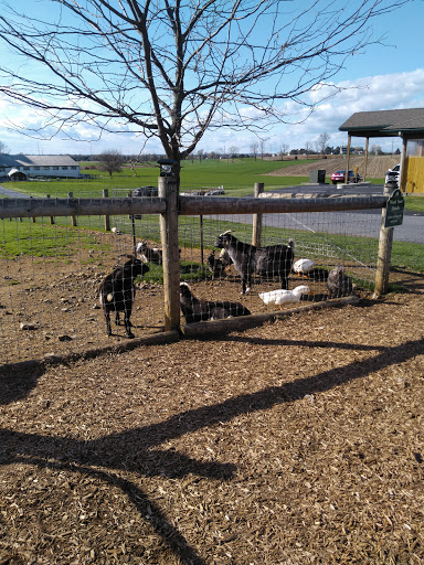 Supermarket «ALDI», reviews and photos, 105 N 11th Ave, Lebanon, PA 17046, USA