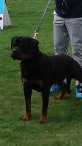 State Park «Bicentennial Capitol Mall State Park», reviews and photos, 600 James Robertson Pkwy, Nashville, TN 37243, USA