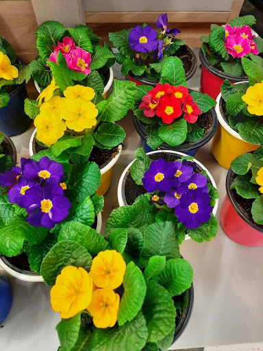 Supermarket «Super Stop & Shop», reviews and photos, 3900 Falmouth Rd, Marstons Mills, MA 02648, USA