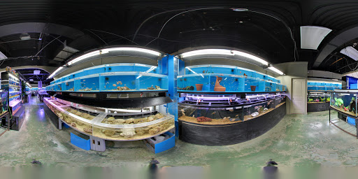 Tropical Fish Store «Optimum Aquarium», reviews and photos, 840 Ernest W Barrett Pkwy NW #700, Kennesaw, GA 30144, USA