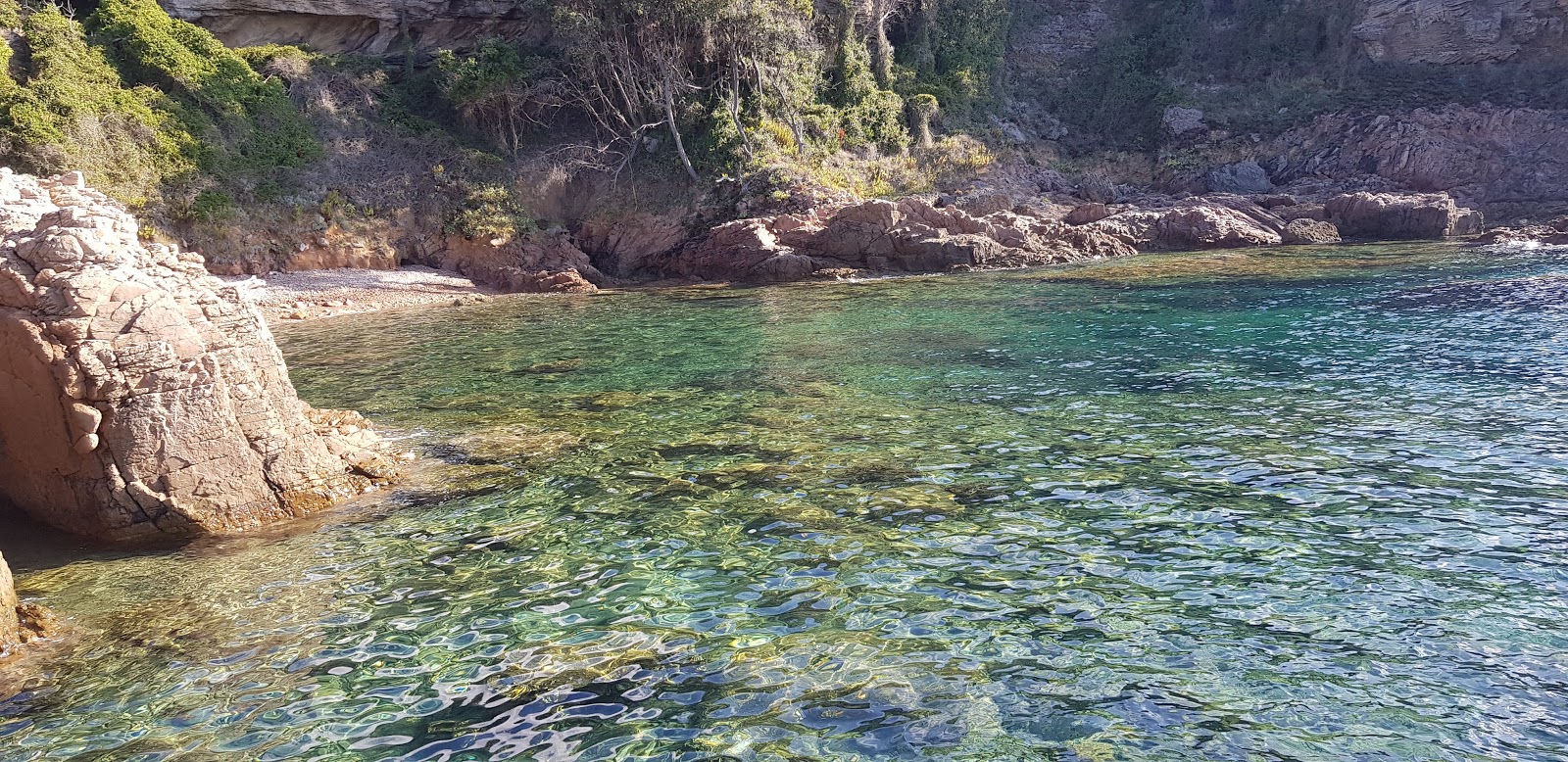 La Liccia beach'in fotoğrafı küçük koy ile birlikte